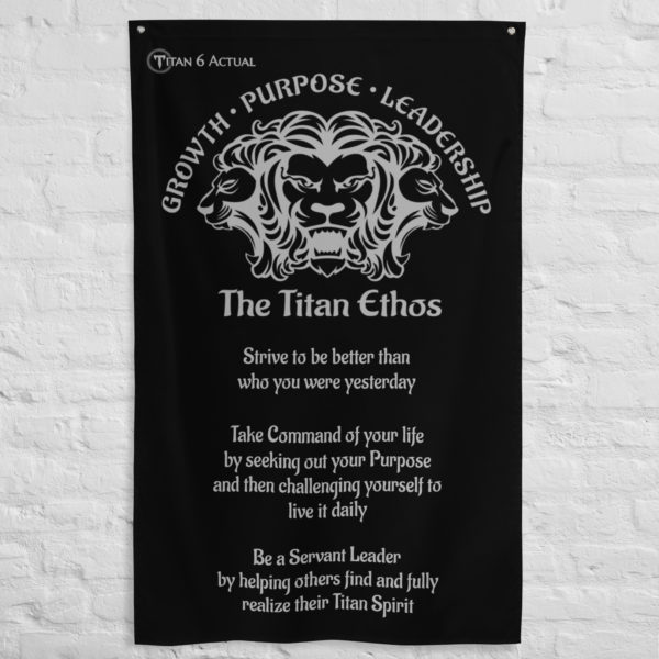 Ethos Lions Gym Flag